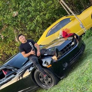 Meet your Posher, Henry